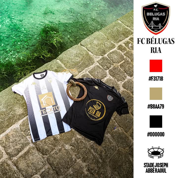 A LA DECOUVERTE DE NOTRE POULE – FC BELUGAS RIA 1 1474344718070008 - Accueil A LA DECOUVERTE DE NOTRE POULE – FC BELUGAS RIA 1 1474344718070008 - Accueil